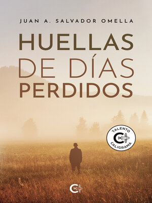 cover image of Huellas de días perdidos
